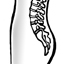 View of Spine