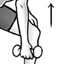 One-Arm Row